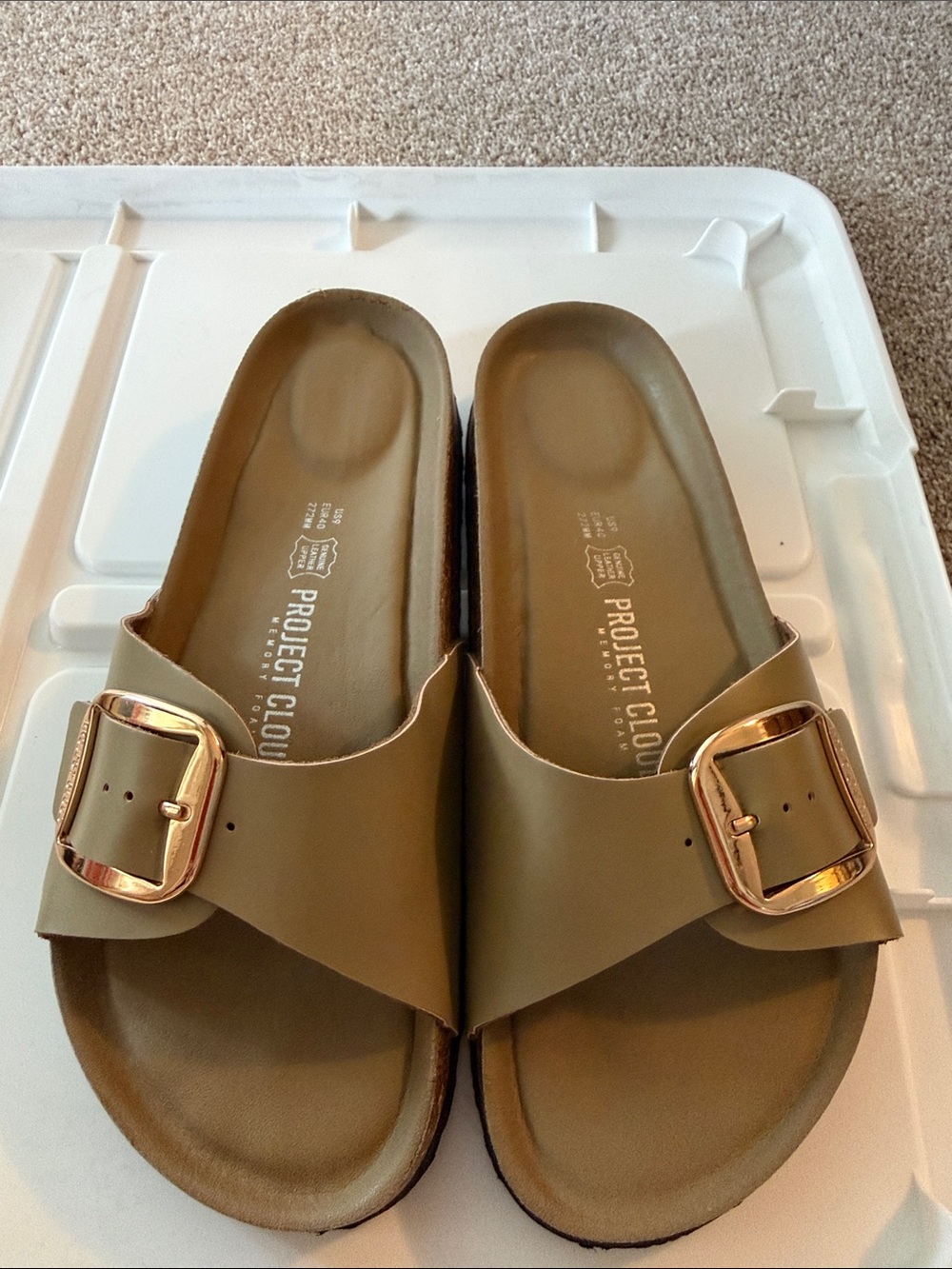 Project Cloud Olive Slide Sandals with Gold Buckle Accent